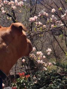 11196358_858786210849345_566180920707761557_n