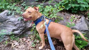 10171068_884291358298830_6861210894001817474_n