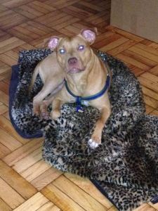 10470847_709496962444938_4012608918278220679_n