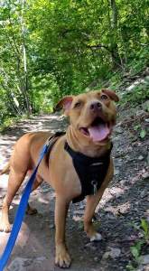 10984091_890922990969000_2714222697654129388_n