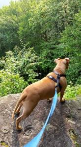 11143518_892877784106854_8417227853444865516_n