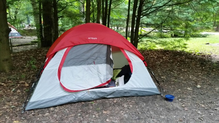 20150703_193656.jpg image