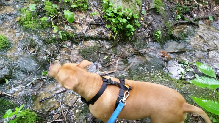 20150704_084043.jpg image