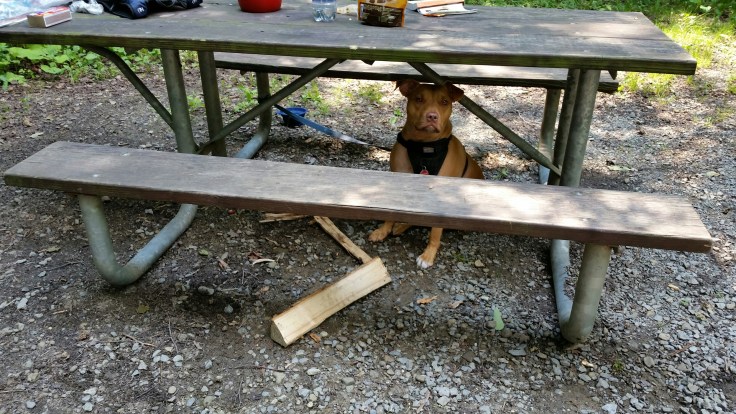 20150704_154858.jpg image